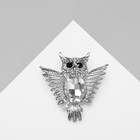 Брошь «Сова» с распахнутыми крыльями, цвет белый в серебре - Фото 2