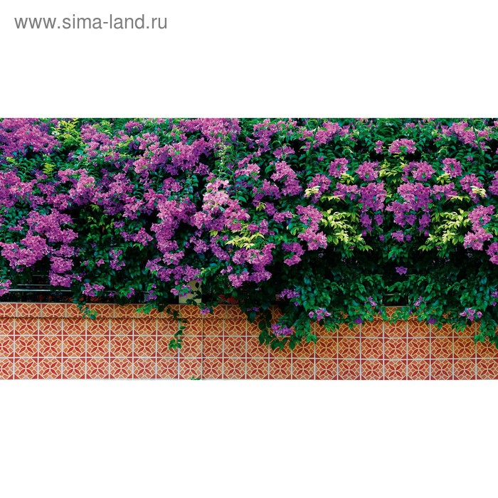Фотобаннер, 300 × 160 см, с фотопечатью, люверсы шаг 1 м, «Фиолетовые цветы»