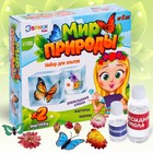 Набор для опытов «Мир природы», 2 фигурки, с эпоксидной смолой - Фото 1