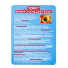 Набор для опытов «Мир природы», 2 фигурки, с эпоксидной смолой - Фото 5