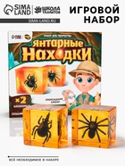 Игровой набор «Янтарные находки», 2 вида насекомых, с эпоксидной смолой - Фото 1