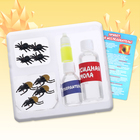 Игровой набор «Янтарные находки», 2 вида насекомых, с эпоксидной смолой - Фото 2