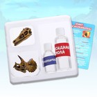 Набор для творчества «Эпоха Динозавров» - Фото 2