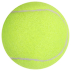 Набор мячей для большого тенниса «Тренер», 3 шт. - фото 8219701