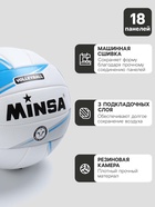 Мяч волейбольный MINSA, TPU, машинная сшивка, 18 панелей, р. 5 - Фото 2