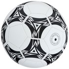 Мяч футбольный ONLYTOP, PVC, машинная сшивка, 32 панели, р. 5 - фото 3654378