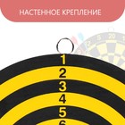 Дартс, мишень диаметром 22 см, 2 дротика - Фото 3
