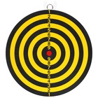 Дартс, мишень диаметром 22 см, 2 дротика - Фото 6