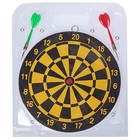 Дартс, мишень диаметром 22 см, 2 дротика - Фото 8
