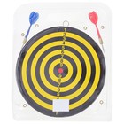 Дартс, мишень диаметром 22 см, 2 дротика - Фото 10