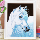 Роспись по холсту "Лошадь" по номерам с красками по 3 мл + кисти + инструкция + крепеж - Фото 1