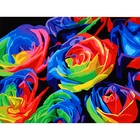 Роспись по холсту "Розы разноцветные" по номерам с красками по 3 мл + кисти + инструкция + крепеж - Фото 1