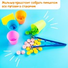 Набор для сортировки «Сортер - стаканчики», с пинцетом, по методике Монтессори, 3+ - Фото 4