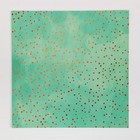 УЦЕНКА Набор бумаги для скрапбукинга «Мои осенние грёзы» с фольгированием, 12 шт., 30×30 см, 250 г/м² - Фото 8