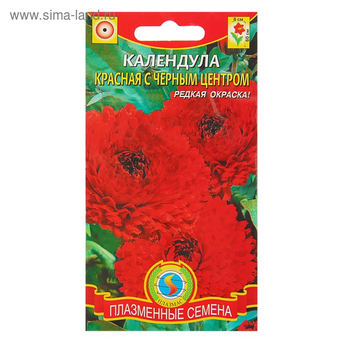 Семена цветов Календула Красная с чёрным центром, О, 0,3 гр - Фото 1