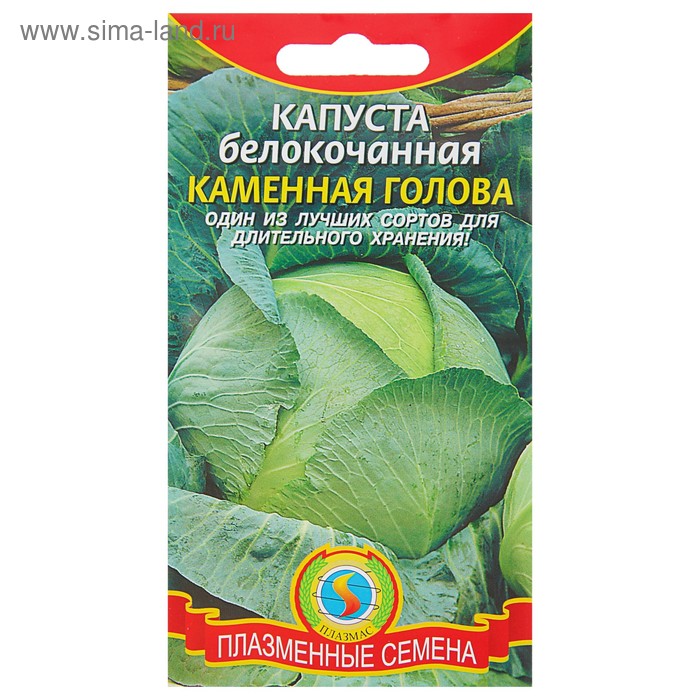 Семена Капуста б/к "Каменная голова", 0,3 г - Фото 1