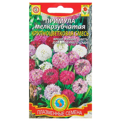 Семена цветов Примула, "мелкозубчатая, крупноцветковая смесь", Мн, 0,01 г