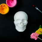 Фигура для раскраски «Череп мини» - Фото 1