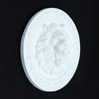 Фигура для раскраски "Лев" белый, 20х4х20см - Фото 1