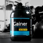 Гейнер XXI Power Gainer, шоколад, спортивное питание, 1,7 кг - фото 300740142