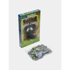 Пазл «Енотик», 500 элементов - фото 24521119