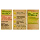 Растущая трава "Человечек улыбка" МИКС 8,5х5,5х3,7 см - Фото 5