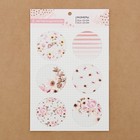 Набор ацетатных разделителей для планера «Нежность», 16 × 25 см, 6 листов - Фото 5