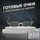 Готовые очки Восток 2015, цвет золотой, отгибающаяся дужка, +2,5 4201678 - фото 10862346