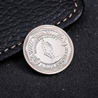 Сувенирная монета «Архангельск», d= 2.2 см - Фото 2
