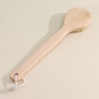 Щётка массажная для тела Доляна, с ручкой, натуральная щетина - Фото 2