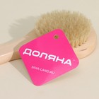 Щётка массажная для тела Доляна, с ручкой, натуральная щетина - Фото 7