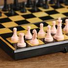 Настольная игра 3 в 1 "Атели": шашки, шахматы, нарды, 19 х 19 см - фото 8219974