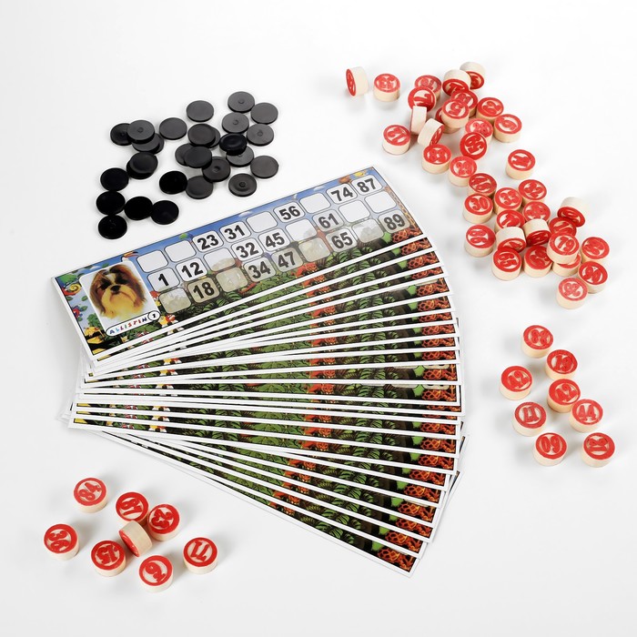 Русское лото «Саванна», 24 карточки, 90 бочонков - Фото 1