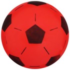 Мяч детский ZABIAKA «Футбол», d=22 см, 65 г, цвет МИКС - фото 3454161