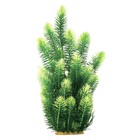 Растение пластиковое PRIME «Ротала зеленая», 38 см - Фото 1