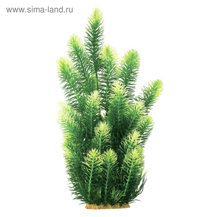 Растение пластиковое PRIME «Ротала зеленая», 38 см - Фото 1