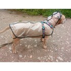 Дождевик с капюшоном для собак OSSO, р. 70 (ДС 70 см), прозрачный, окантовка микс цветов - Фото 3