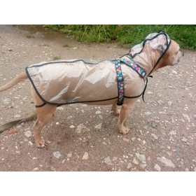 Дождевик с капюшоном для собак OSSO, р. 65 (ДС 65 см), прозрачный, окантовка микс цветов