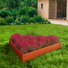 Клумба оцинкованная, 50×15 см, оранжевая «Терция», Greengo - Фото 7