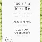 Пряжа "Народная традиция" 30% шерсть 70% акрил 100м/100гр (193 св. салат) - Фото 3