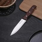 Нож кухонный «Классик», лезвие 13 см, деревянная рукоять - фото 5919448