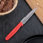 Нож «Эконом», средний, лезвие 10,5 см, цвет Микс - Фото 3