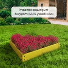 Клумба оцинкованная, 50×15 см, жёлтая, «Терция», Greengo - Фото 7