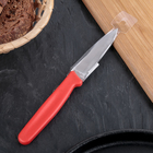 Нож «Эконом», малый, лезвие 8 см, цвет МИКС - Фото 3