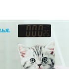 Весы напольные "АКСИНЬЯ" КС-6002, электронные, до 180 кг, картинка "Забавный котенок" - Фото 3