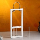 Подарочный ящик «Рамка», 18×5×40 см, 3 колбы, деревянный, ручка - верёвка, белый - Фото 6