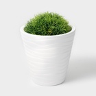 Кашпо для цветов со вставкой Plast-Avenue «Валенсия», 2 л, пластик, белое - Фото 7