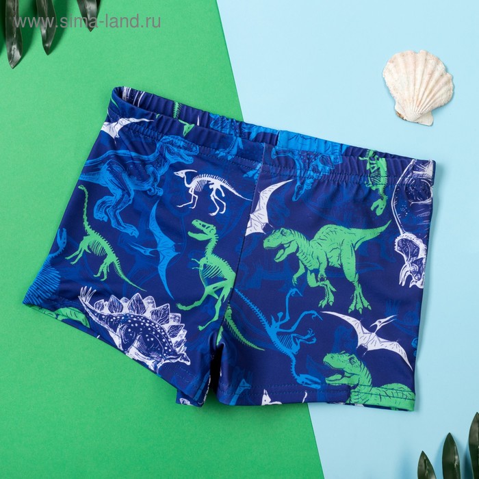 Плавки купальные для мальчика KAFTAN "Динозавры" рост 98-104 (30), цвет синий - Фото 1