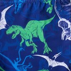 Плавки купальные для мальчика KAFTAN "Динозавры" рост 98-104 (30), цвет синий - Фото 2