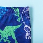 Плавки купальные для мальчика KAFTAN "Динозавры" рост 98-104 (30), цвет синий - Фото 3